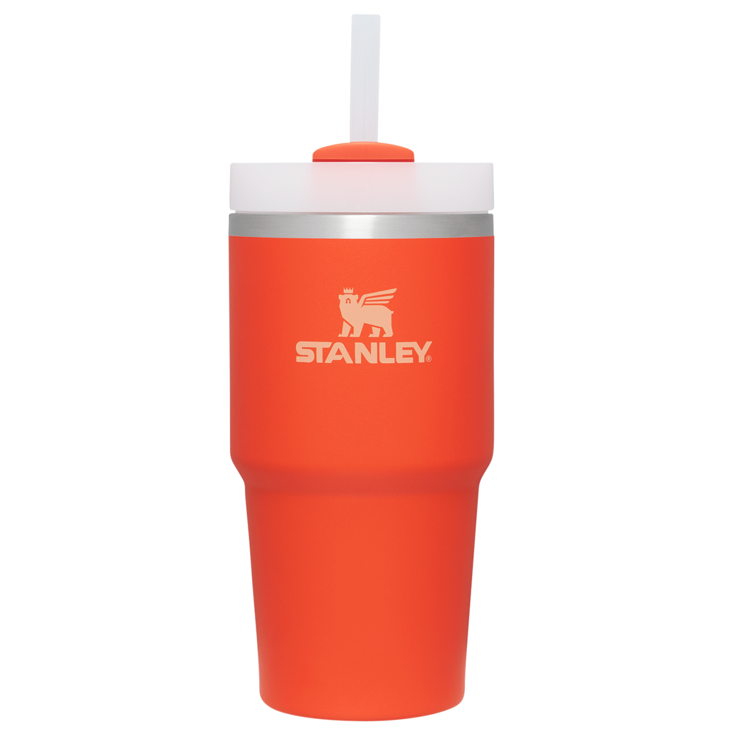 Double-Wall Vacuum The Quencher H2.0 Flowstate Tumbler D030T - Double-Wall Vacuum Insulated Travel Tumbler with Straw - Tigerlily