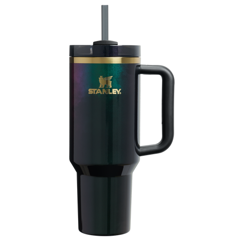 Car-Cup Friendly The Wicked for Good Quencher H2.0 Flowstate Tumbler D245R - Premium Stainless Steel Straw Cup for All-Day Hydration - Elphaba For Good