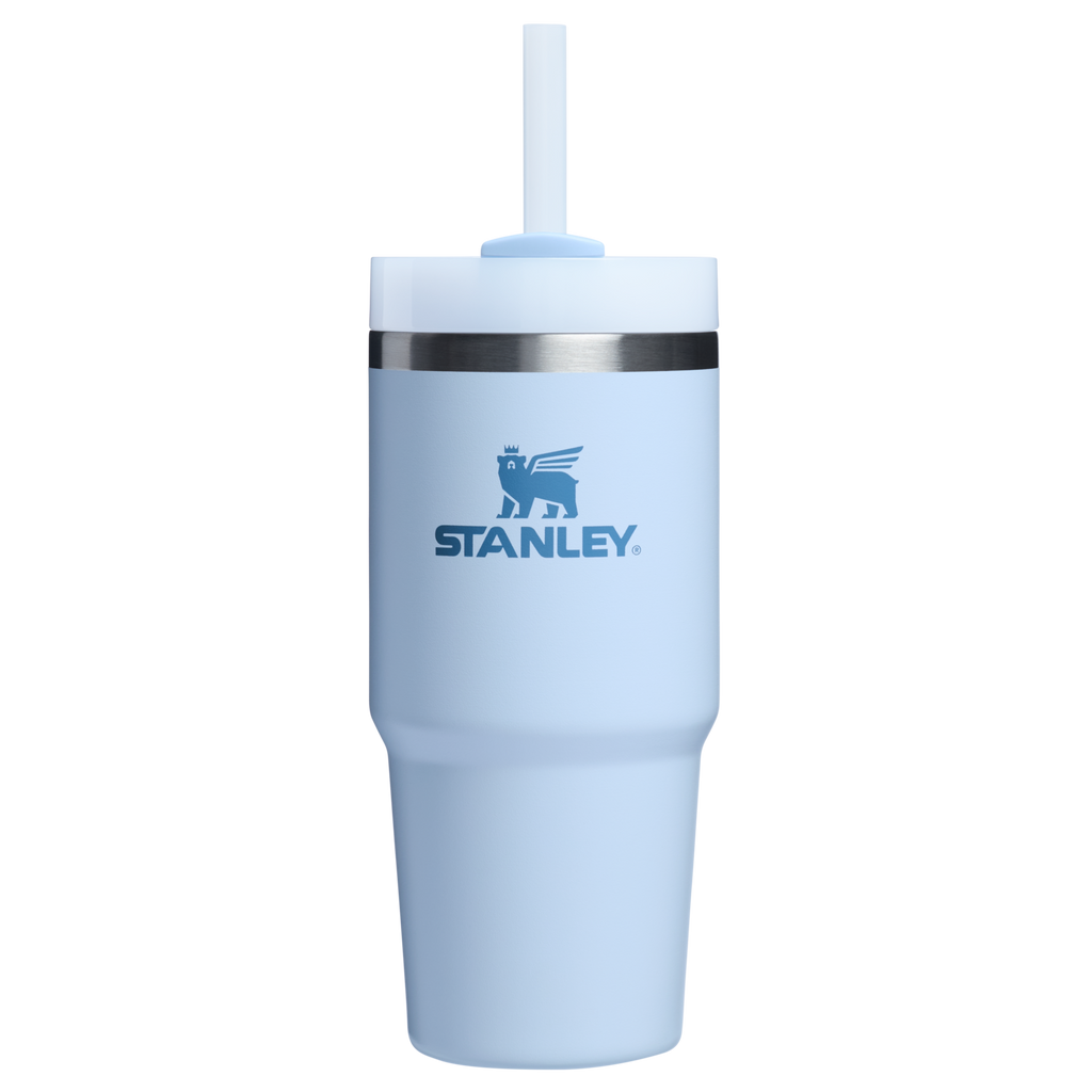Double-Wall Vacuum The Quencher H2.0 Flowstate Tumbler D214X - Double-Wall Vacuum Insulated Travel Tumbler with Straw Detail
