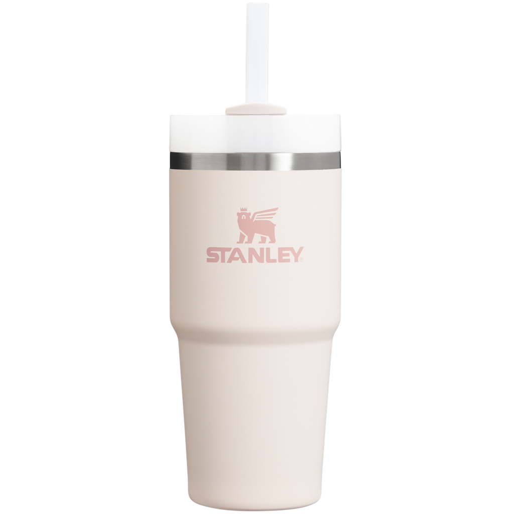 Double-Wall Vacuum The Quencher H2.0 Flowstate Tumbler D214X - Double-Wall Vacuum Insulated Travel Tumbler with Straw - Ash