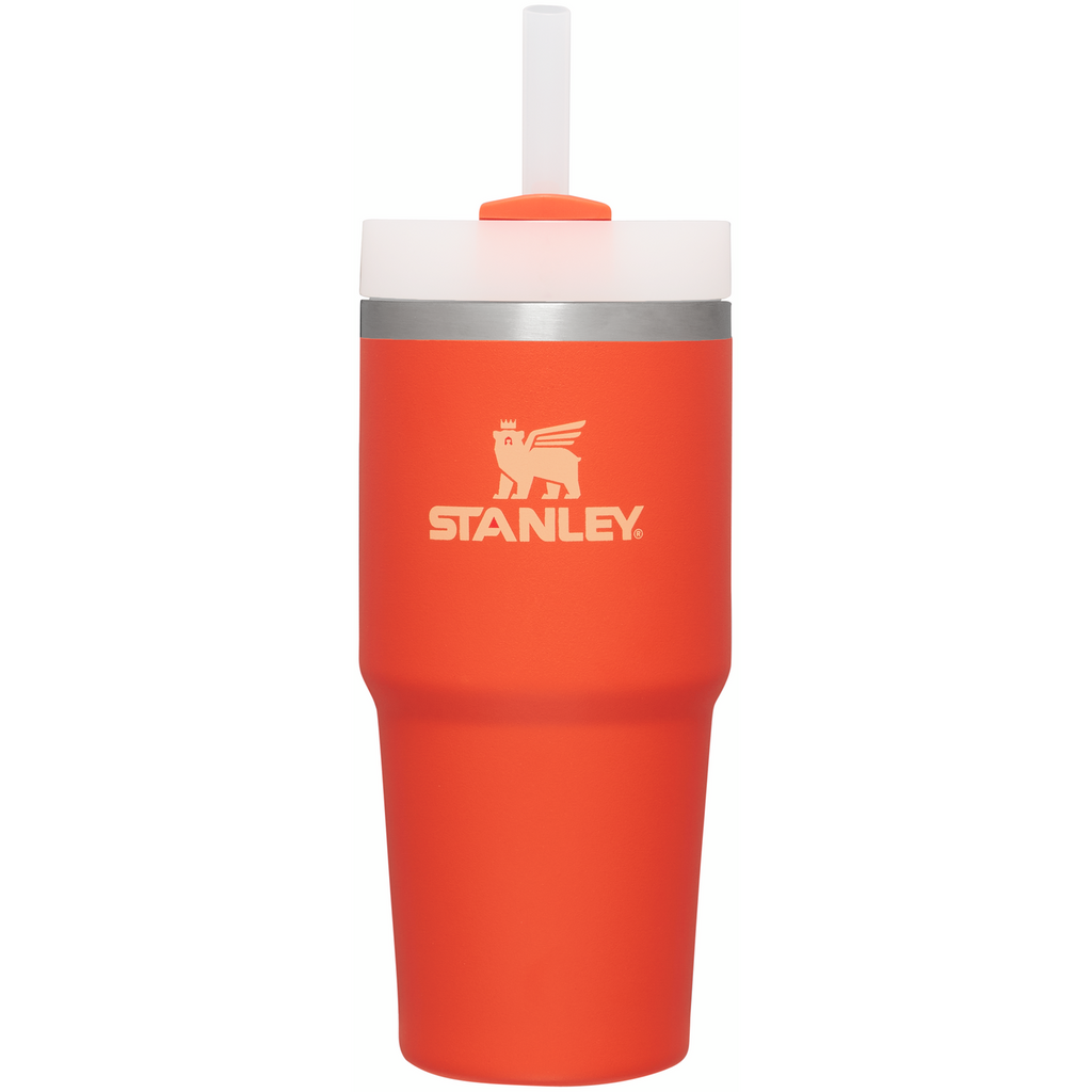 Double-Wall Vacuum The Quencher H2.0 Flowstate Tumbler D214X - Double-Wall Vacuum Insulated Travel Tumbler with Straw Detail