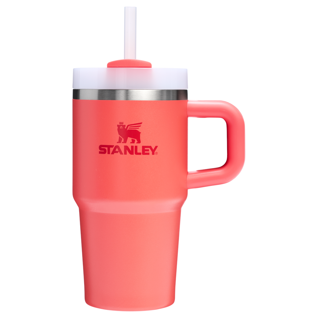 Insulated Travel The Quencher H2.O Flowstate Tumbler D251V - Premium Stainless Steel Straw Cup for All-Day Hydration Detail