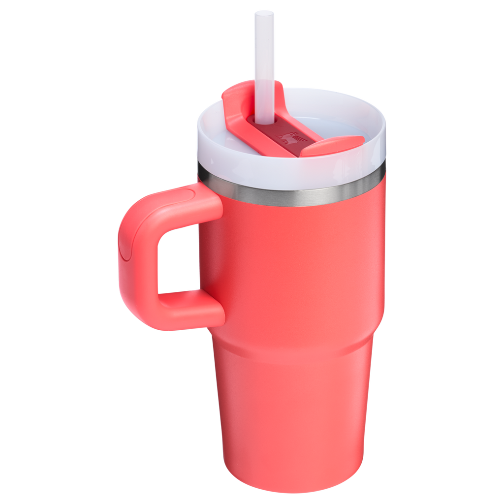 Insulated Travel The Quencher H2.O Flowstate Tumbler D251V - Premium Stainless Steel Straw Cup for All-Day Hydration Detail