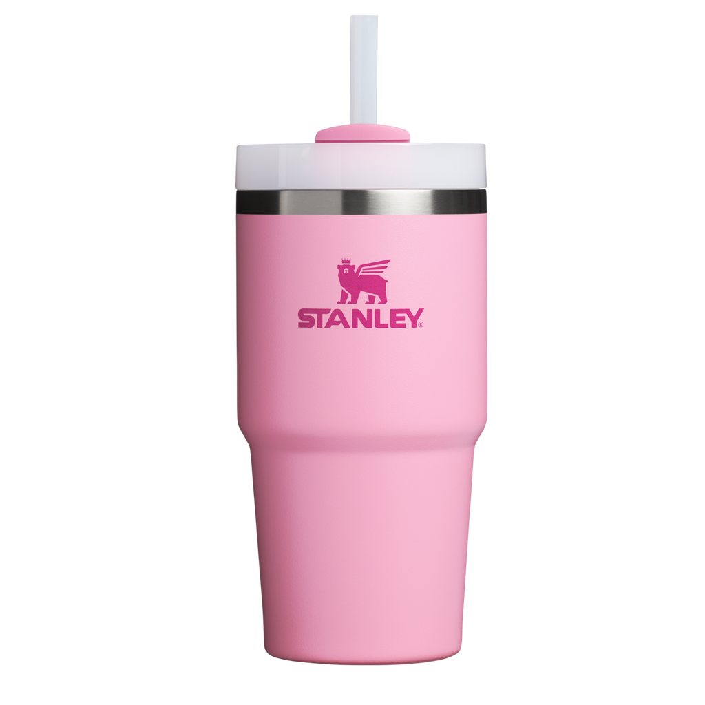 Double-Wall Vacuum The Quencher H2.0 Flowstate Tumbler D030T - Double-Wall Vacuum Insulated Travel Tumbler with Straw - Ash