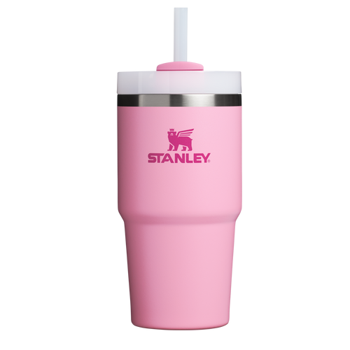 Double-Wall Vacuum The Quencher H2.0 Flowstate Tumbler D030T - Double-Wall Vacuum Insulated Travel Tumbler with Straw - Ash