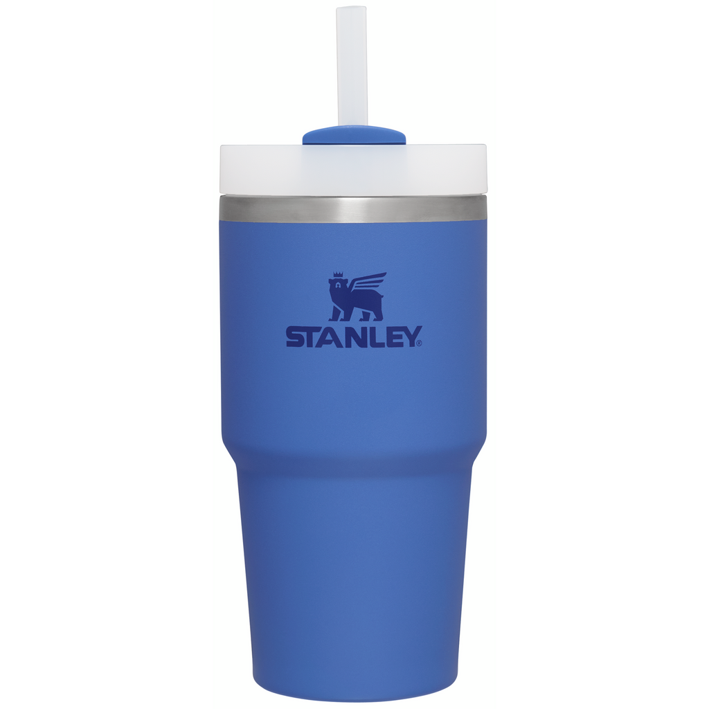 Double-Wall Vacuum The Quencher H2.0 Flowstate Tumbler D030T - Double-Wall Vacuum Insulated Travel Tumbler with Straw - Iris