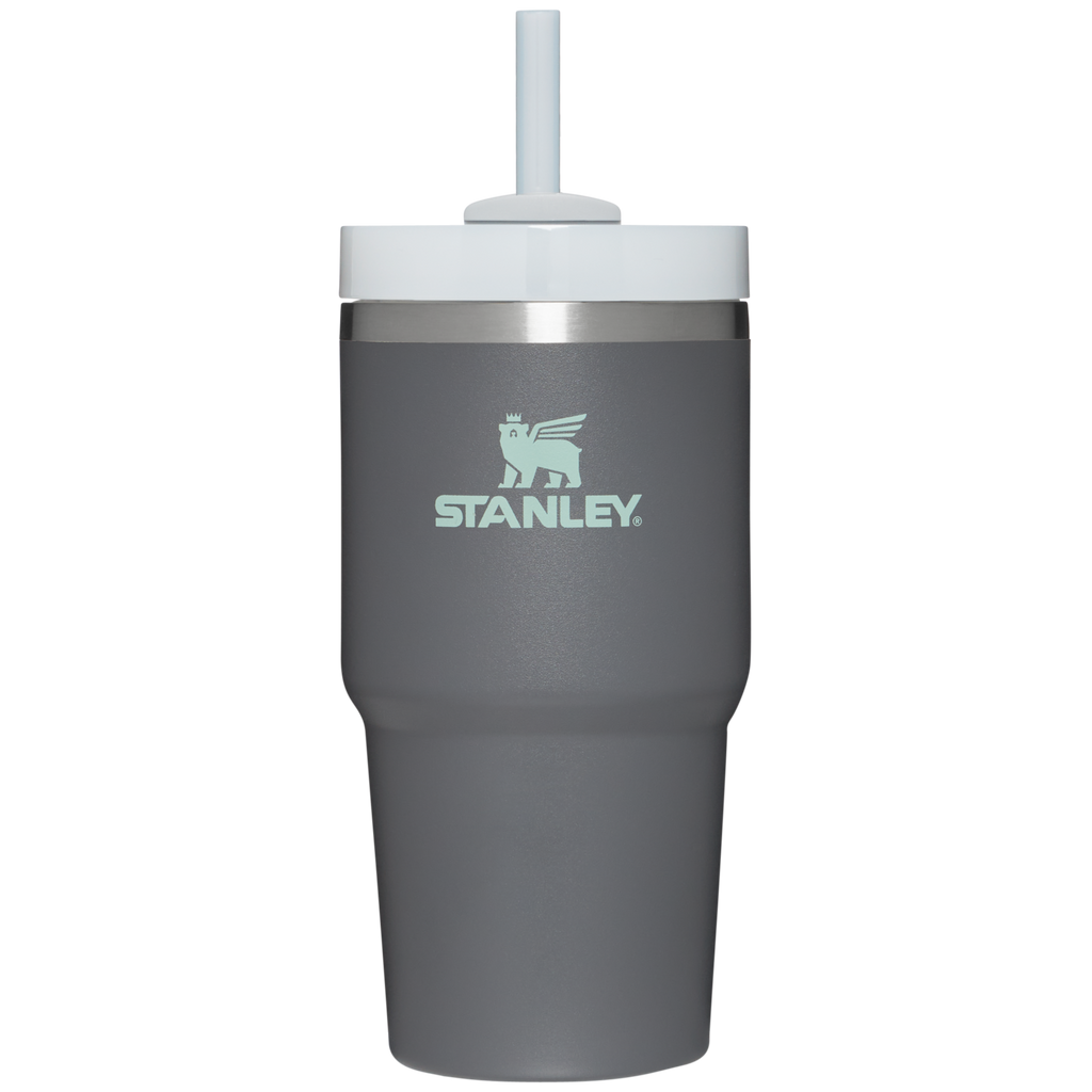 Double-Wall Vacuum The Quencher H2.0 Flowstate Tumbler D030T - Double-Wall Vacuum Insulated Travel Tumbler with Straw - Charcoal